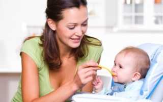 С чего начать прикорм в 4 месяца?