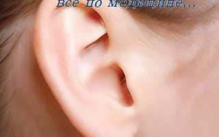 Что такое грануляция при отите