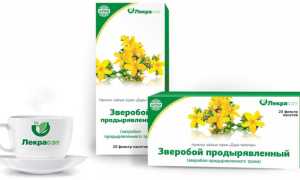 Как пить Зверобой при депрессии?