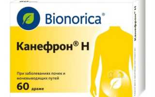 Что лучше: Цистон или Канефрон?