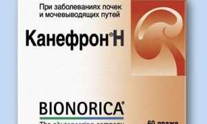 Можно ли совмещать Канефрон с алкоголем?