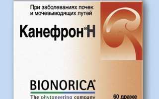 Можно ли совмещать Канефрон с алкоголем?
