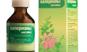 Что лучше: Валерьянка или Пустырник?