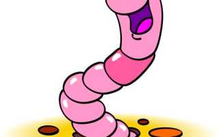 Декарис — инструкция и цена