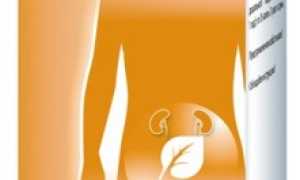 Чем отличается Канефрон от Канефрон Н?