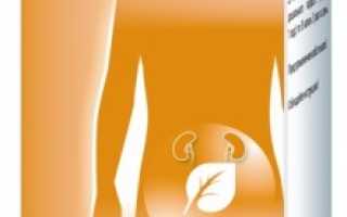 Чем отличается Канефрон от Канефрон Н?