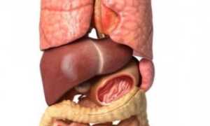 Дискинезия желчевыводящих путей у детей