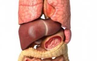 Дискинезия желчевыводящих путей у детей