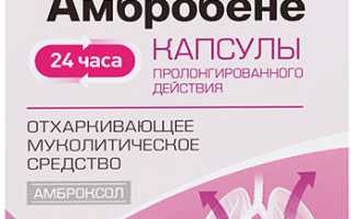 Можно ли Амбробене при беременности?