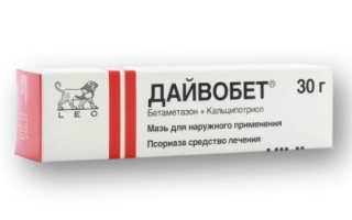 Дайвобет — инструкция и цена