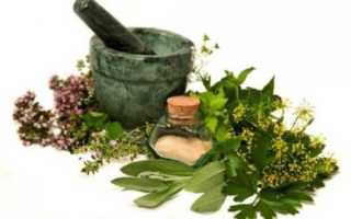 Травы с мочегонным эффектом для лечения отеков