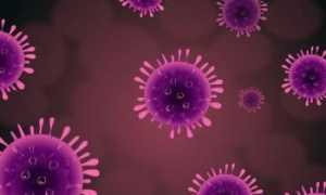 Пути передачи вируса папилломы