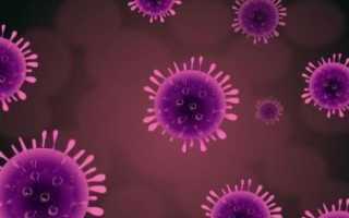 Пути передачи вируса папилломы