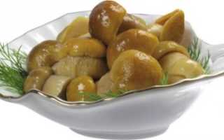 Можно ли кормящей маме кушать грибы?