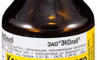 Можно ли наносить Касторовое масло перед сном на волосы?