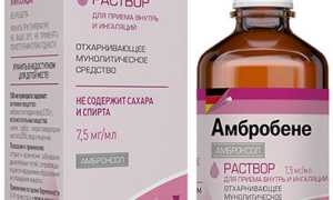 Как разводить Амбробене с физраствором для ингаляций?