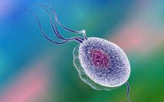 Как принимать Метронидазол при трихомониазе?