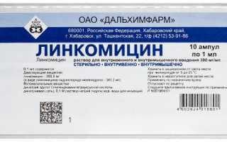 Линкомицин — инструкция и цена