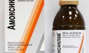 Правильная дозировка Амоксиклава