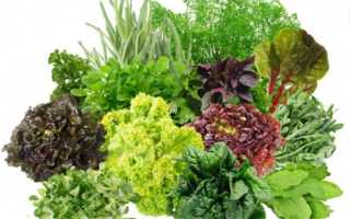 В каких продуктах содержится фолиевая кислота?