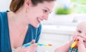 Как правильно вводить прикорм в 6 месяцев?