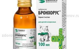 Бронхорус — инструкция и цена