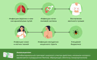 Показания к применению Амоксициллина