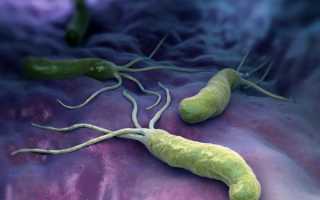 Как Прополисом лечить хеликобактер пилори?