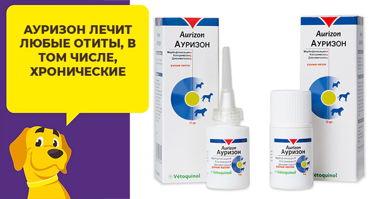 Какие капли выбрать для лечения ушей у собаки