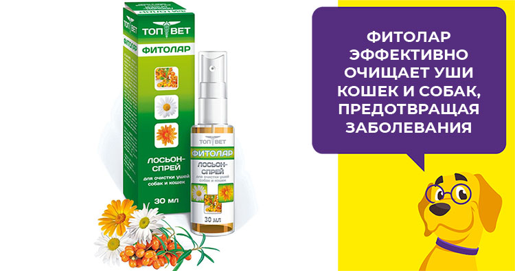 Какие капли выбрать для лечения ушей у собаки