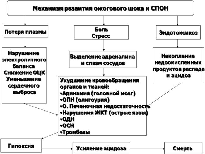 Термический ожог классификация и лечение