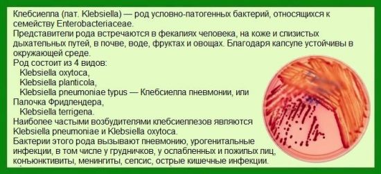 Клебсиелла