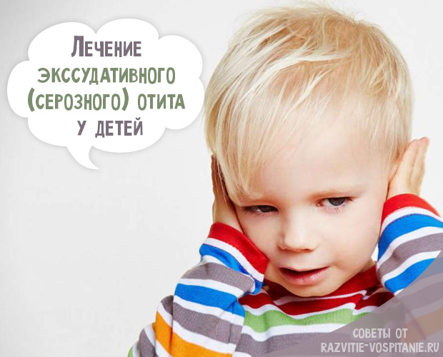 Главная картинка